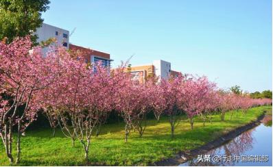 南京研学夏令营多少钱,上海南京夏令营