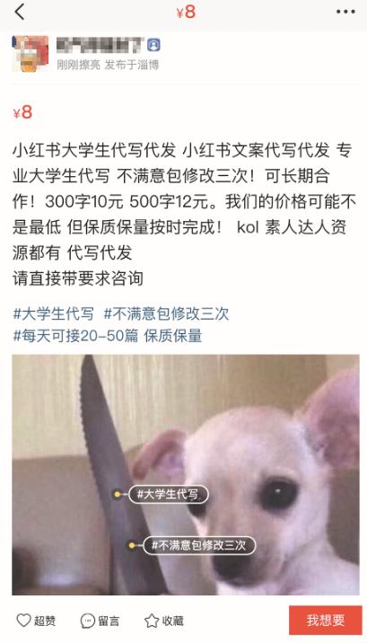 小红书内容代写,小红书代写50元一篇