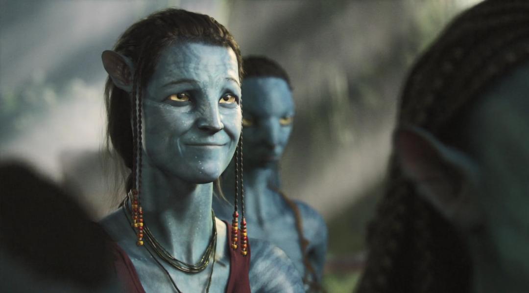 阿凡达最新彩蛋,阿凡达你不知道的隐藏细节