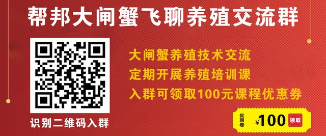 螃蟹养殖需要注意什么,螃蟹养殖吃什么