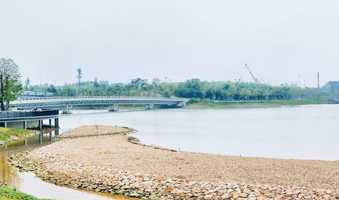 这里是前海完整视频,这里是北京粤语