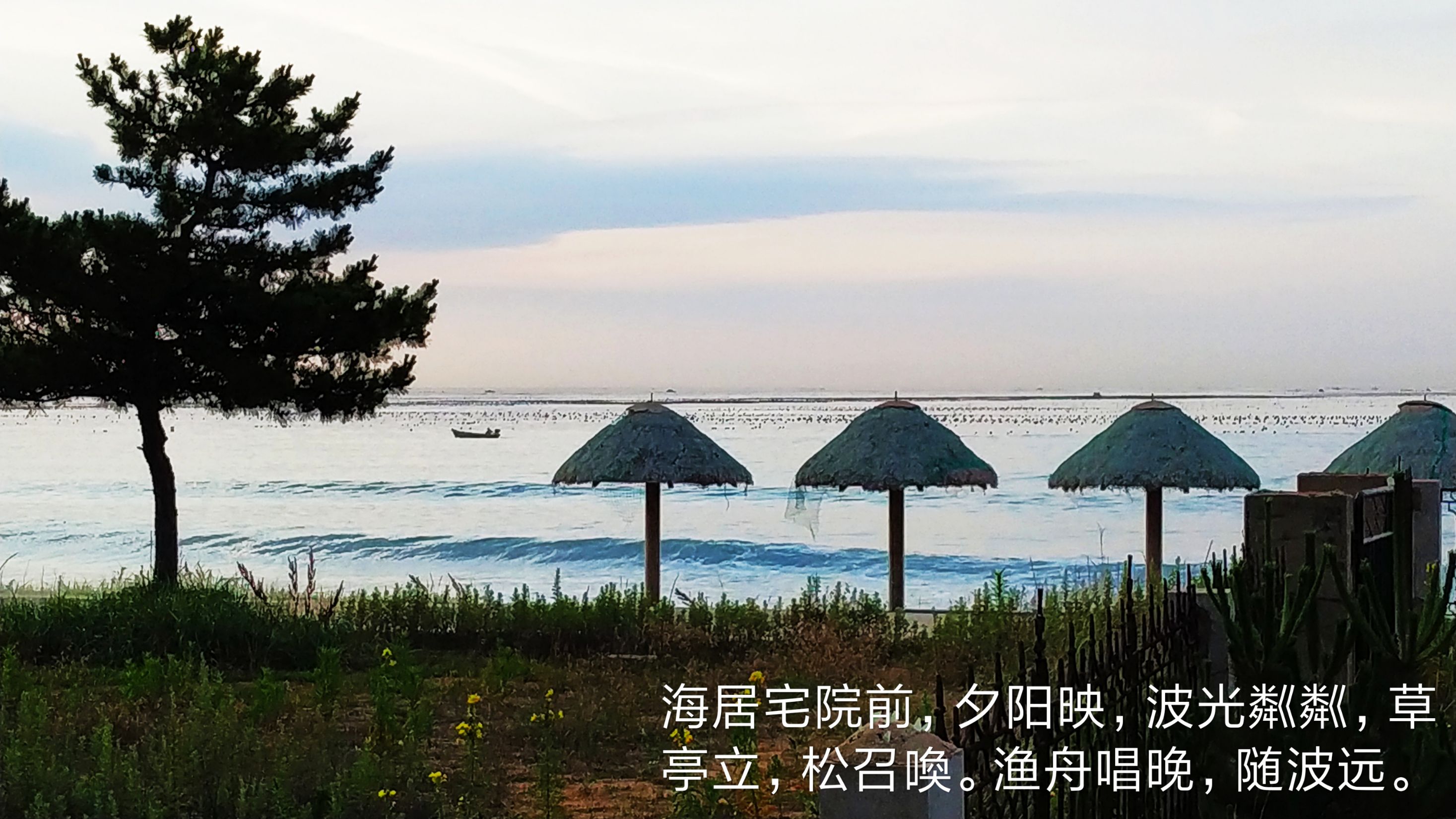 云卷云舒说文史,云卷云舒诗词原句