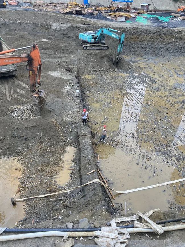 地下挖出千年阴沉木,中国出土最大的阴沉木