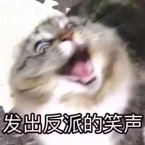 《创造营》最惨打工人出现了！花样作死求淘汰，网友：休想下班