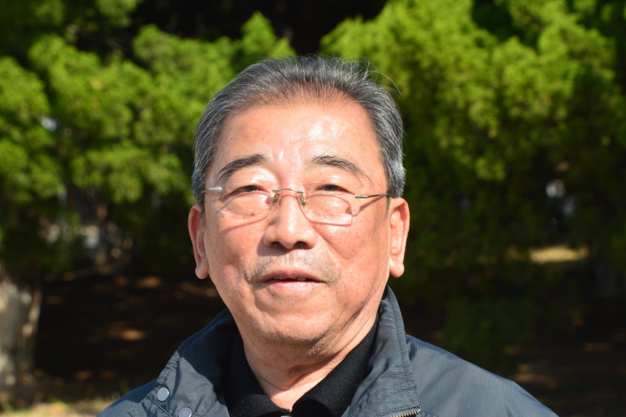 插秧拔杂草,插秧收割稻谷