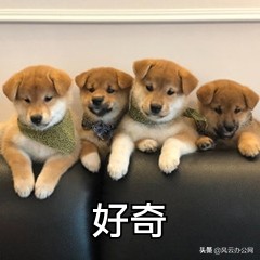 wps怎么解除pdf密码保护,pdf密码忘了不要紧三步轻松解除