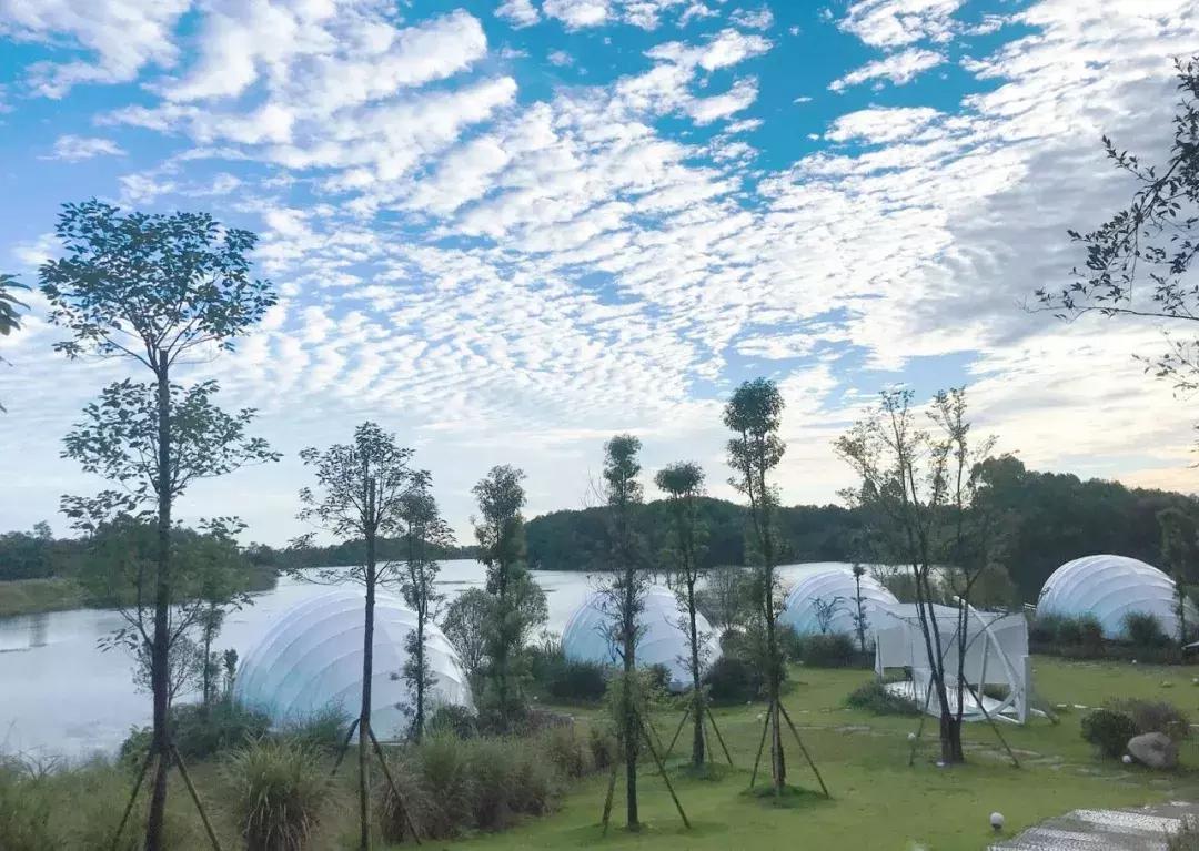 成都值得打卡的民宿便宜,成都最值得住的网红打卡地