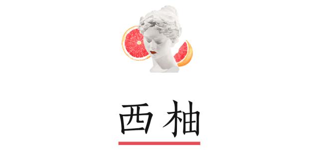 女士的法则江疏影同款口红,一些美爆了的口红色号