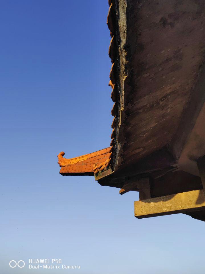 华为p50pro鸿蒙版评测,华为p50深度评测视频