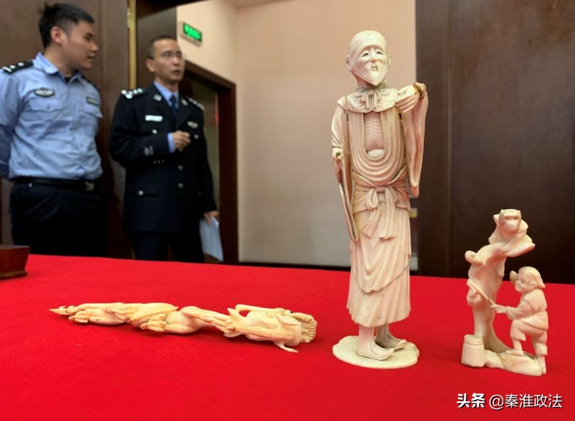 除了大象有谁能打过老虎,除了大象还有哪个动物不得癌症