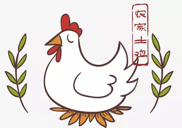 鸡100元10只怎么购买,100元钱一只的鸡