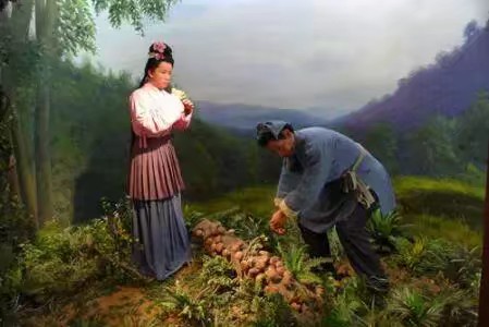 关于香菇出菇技术的视频,香菇不出菇如何解决