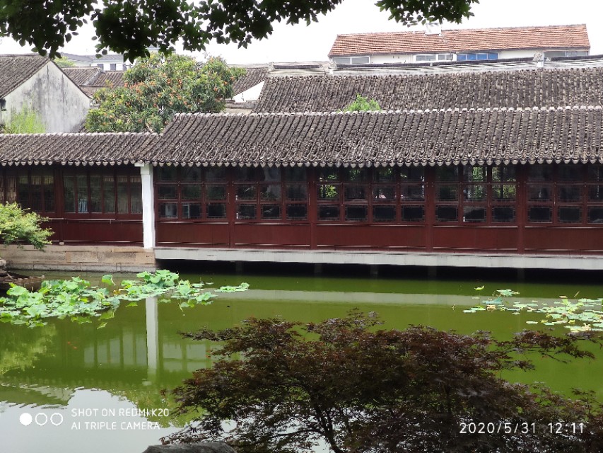 20200531拍摄苏州艺圃记