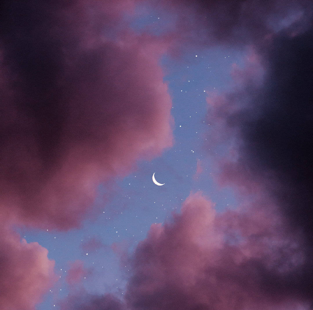 星座配对狮子座和什么座最配,星座配对狮子座和处女座合适吗