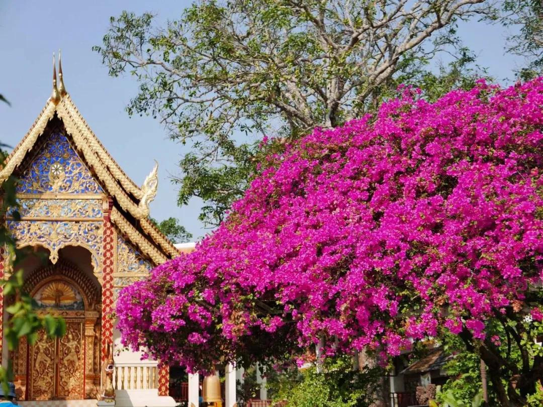 泰国清迈泼水节英文,泰国清迈泼水节自驾游