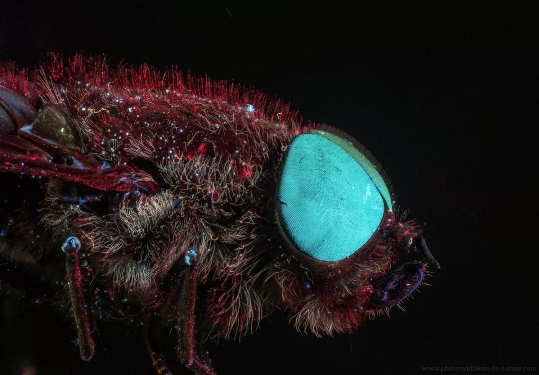 紫外线外星人真的存在吗,外星生命紫外线