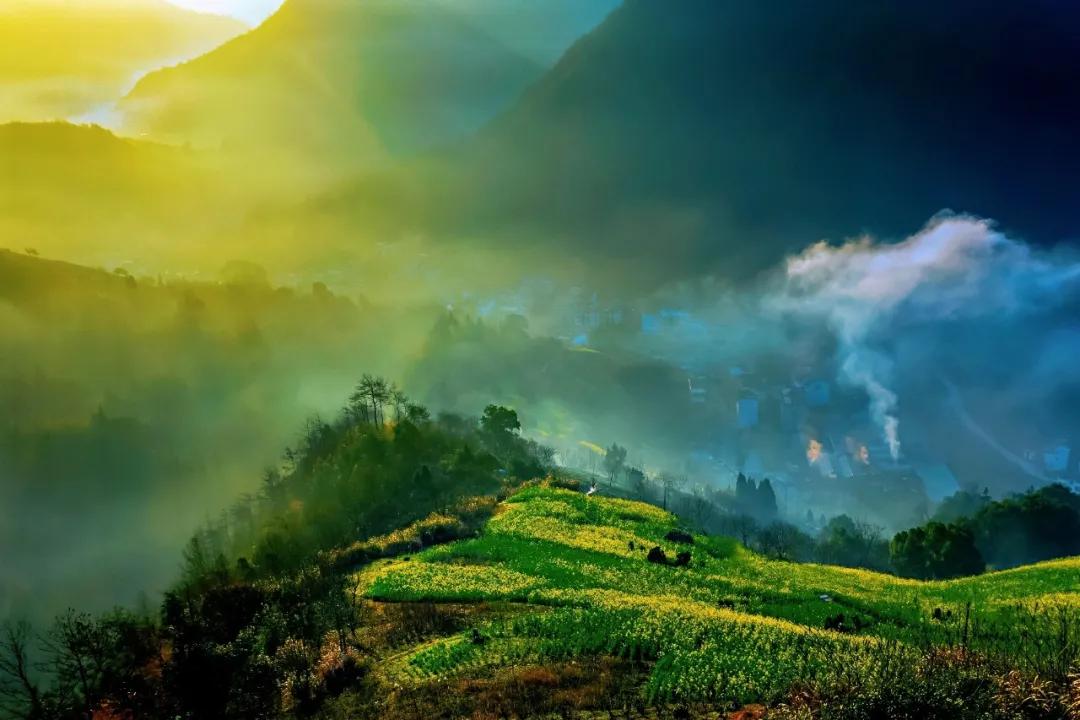 十首写竹古诗竹子的品质,关于竹子节节上进的诗句