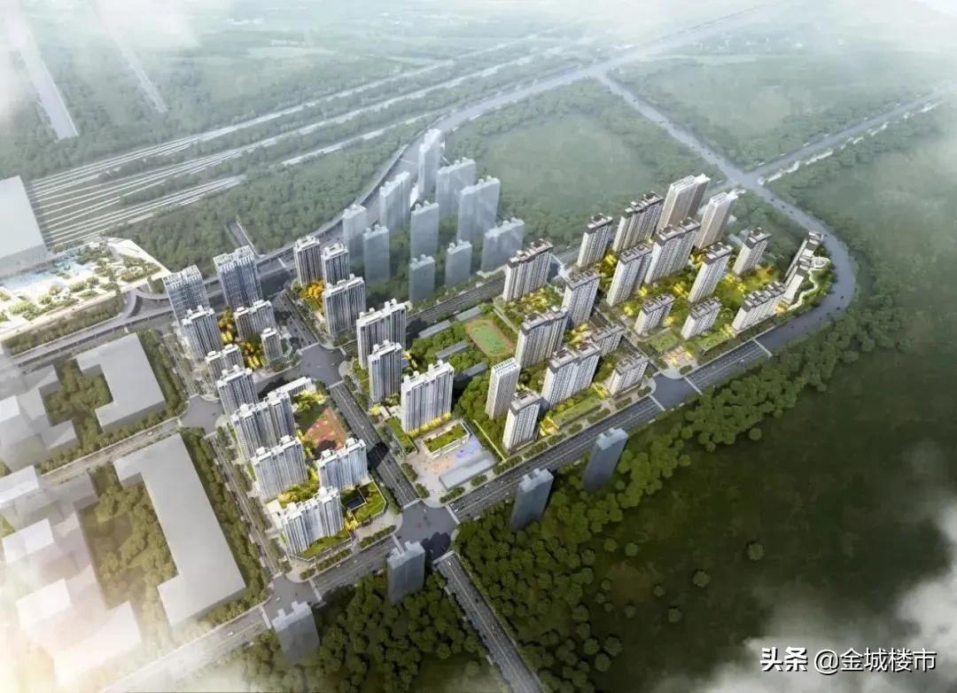 铂悦著④：大乘|掌握一站繁华进阶人生格局