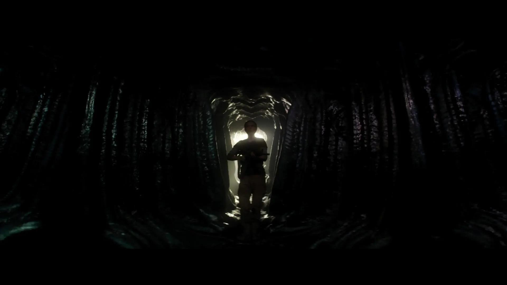 湮灭电影深度解析,湮灭电影到底湮灭了什么