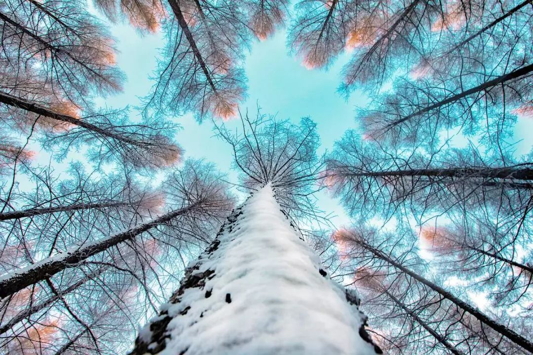 坝上风情坝上人,坝上哪最适合露营