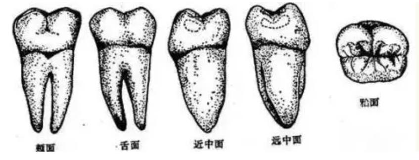 电动牙刷2023推荐平价,电动牙刷推荐2023年