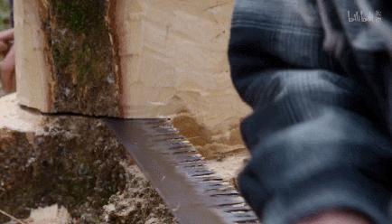 被大火烧毁的法国建筑,法国地标建筑着火