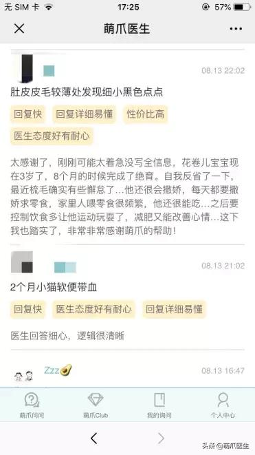 足不出户就能在线治猫病,24小时猫病在线咨询