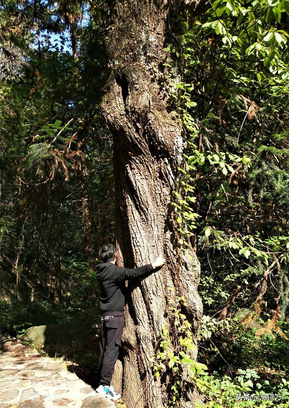 趁青春多折腾,趁着年轻四处游一游