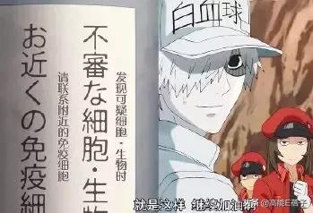 火疗调理前列腺,前列腺火疗