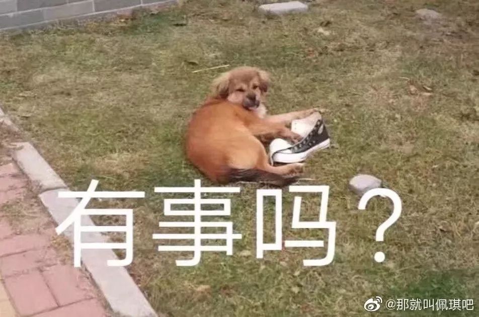 闉嬪瓙琚滃瓙琚埆浜哄伔,闉嬪瓙琚滃瓙琚伔