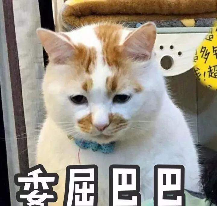 洛阳供暖公司最新通报,洛阳供热最新消息今天