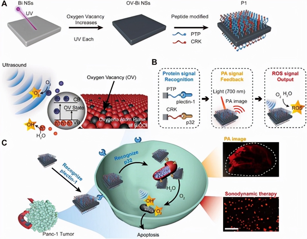 癌症治疗最新突破性成果,癌症新治疗有什么新突破