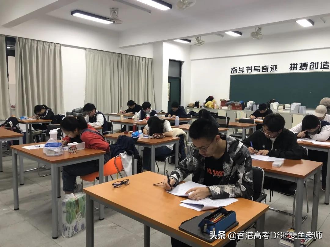 鲸帆dse国际,鲸帆dse国际学校创作人