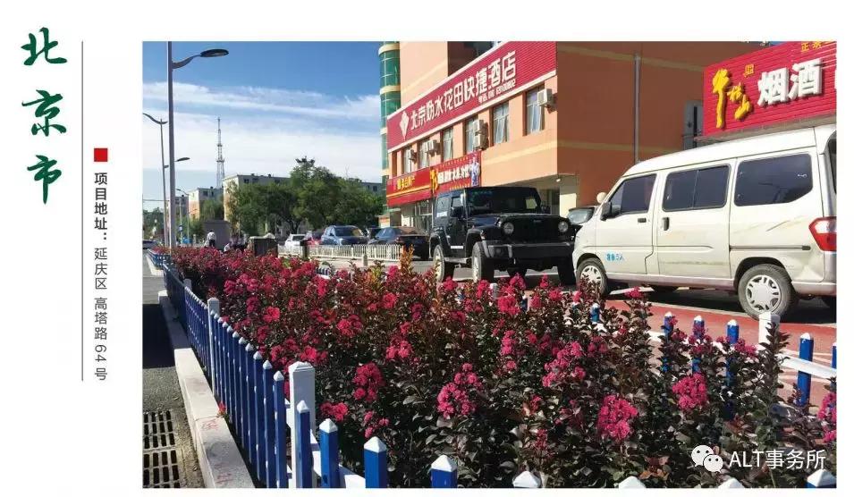 天鹅绒紫薇花烂漫,花争艳