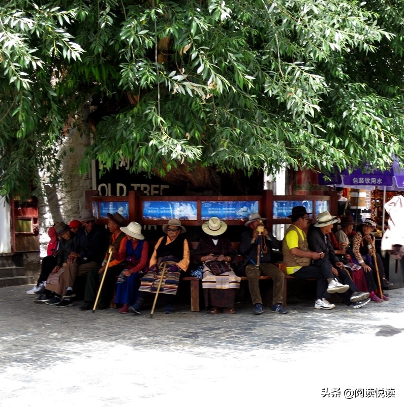 藏地人文风景图,藏域风情图片