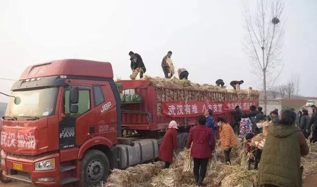 疫情期间你熬住了吗 (如果疫情再下去你能熬多久)