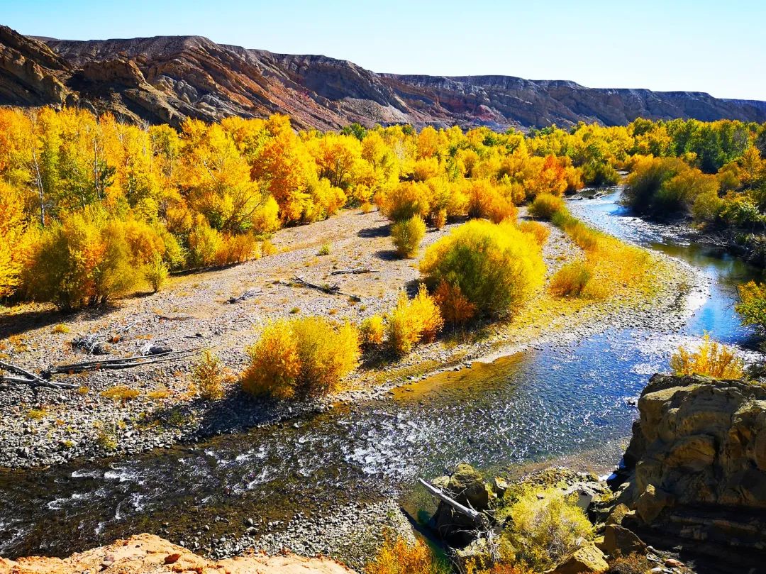 塔城生态环境优美,新疆是个好地方塔城