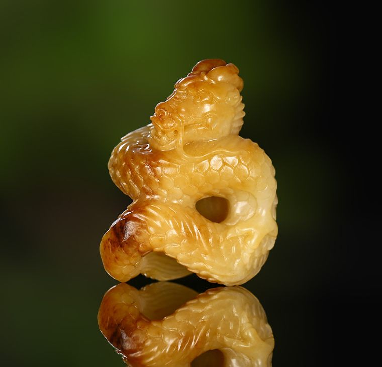 九重真龙护体,九重真龙是什么