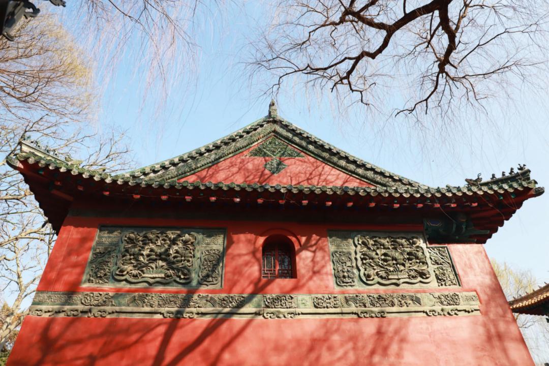 春天里最美的花儿，语文课本上的天下第一……一定要带孩子来