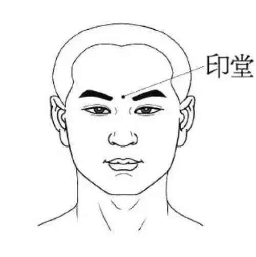 对付鼻炎小妙招植物,对付鼻炎最好的药