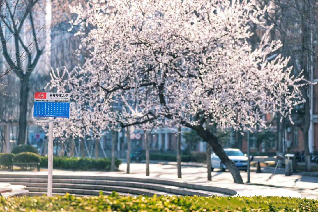 心有所向不畏路长的句子,心有所向不畏将来剧名