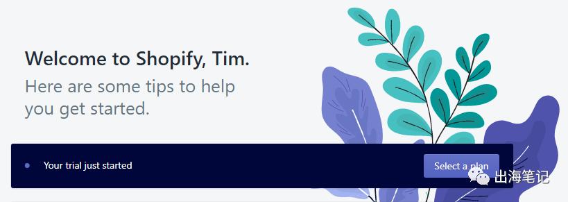 8周流水6700美元Dropshipping运营全流程曝光丨出海笔记