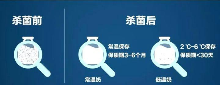 wildfieldhealth蛋白粉测评,wildfieldhealth牌子如何