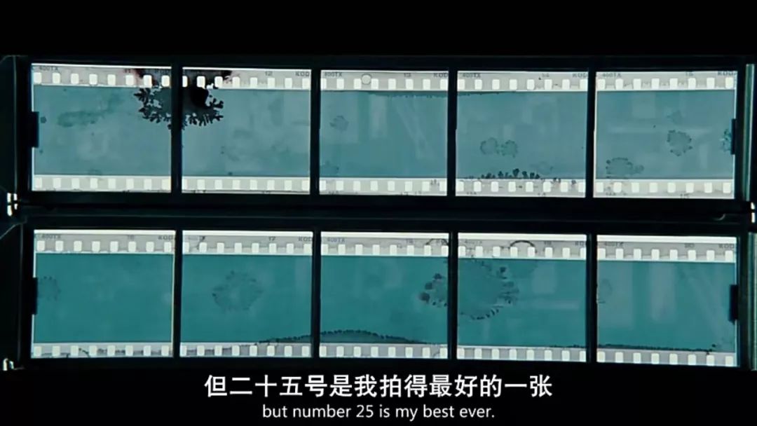 白日梦想家每天都在做白日梦,《白日梦想家》电影