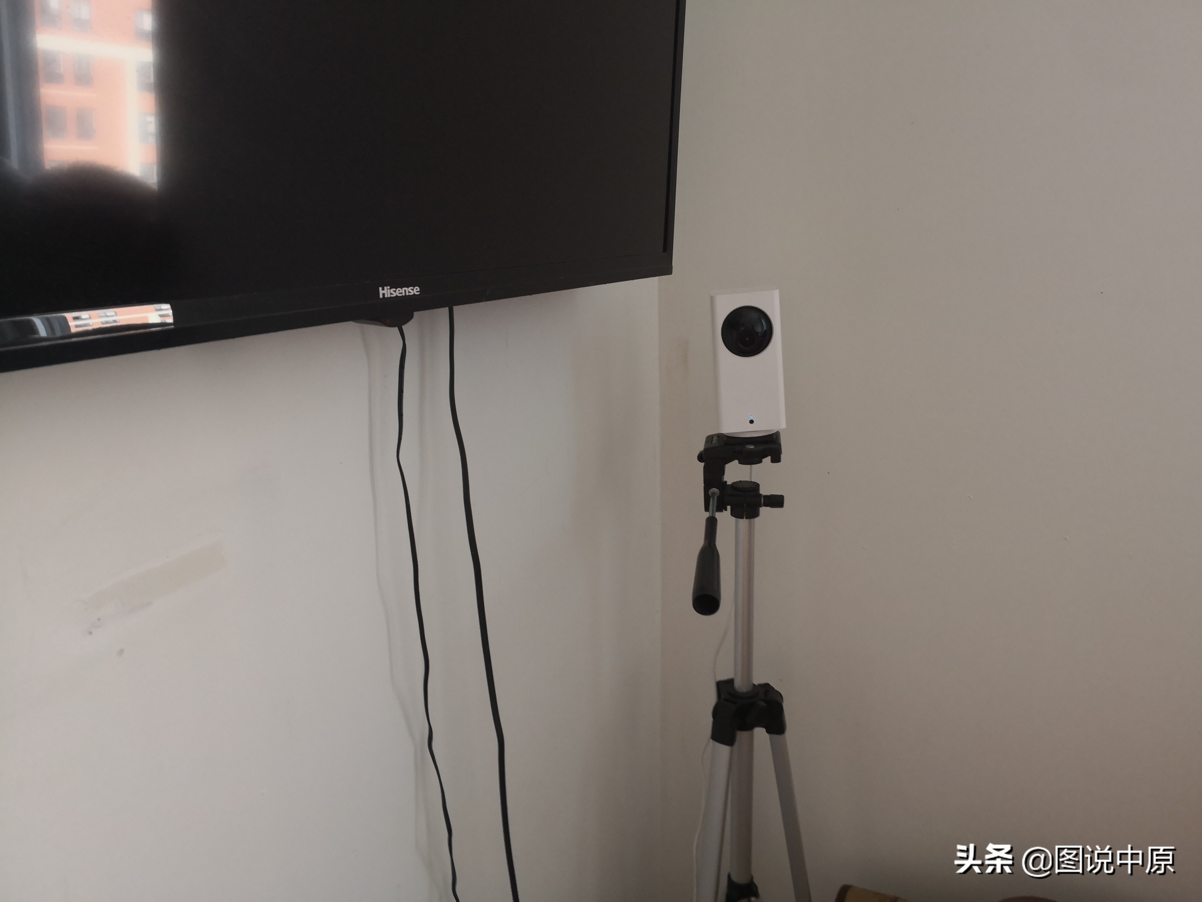 鹩哥飞走了怎么能让它回家呢,鹩哥飞走了认路回来吗