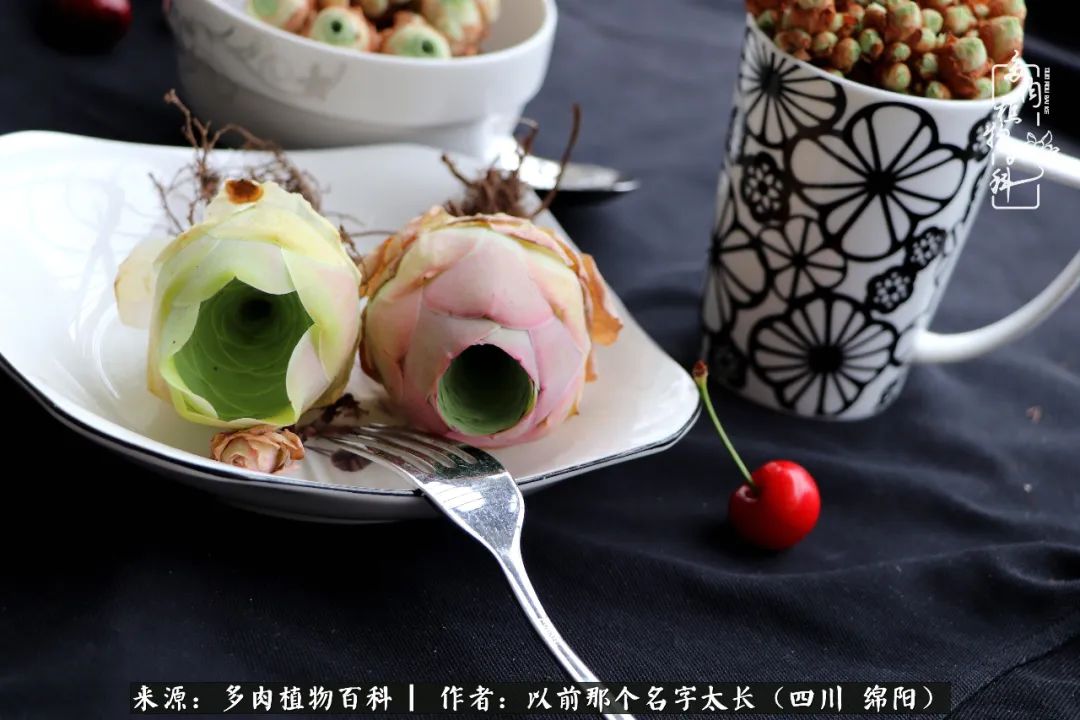 山地玫瑰夏天,山地玫瑰花怎么玩