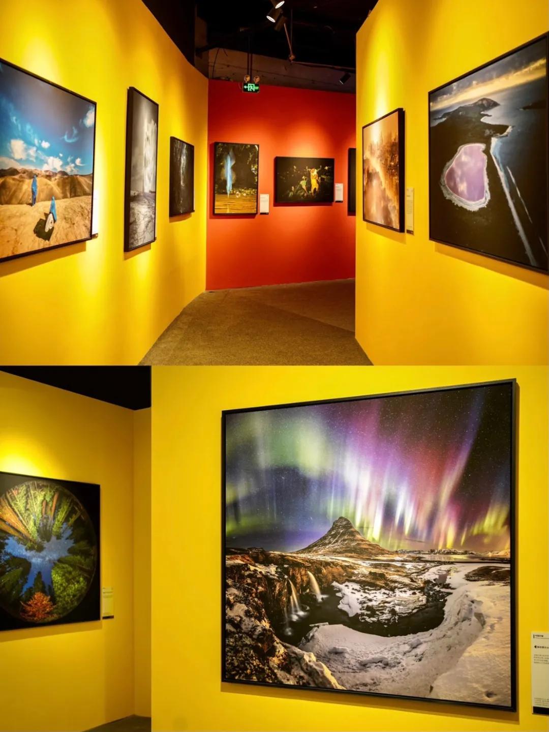 魔都看展推荐,魔都广场舞神仙打架