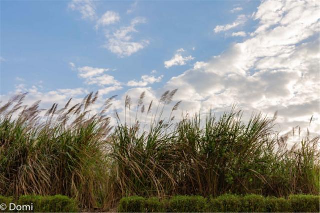 海南三亚5天自由行攻略详细,海南三亚7天旅游攻略最新