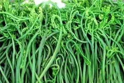 这种菜竟自带毒素小心致命,这种菜是百病克星