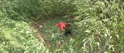 近30年来中国最好的电影,一部三十年前的国产青春电影